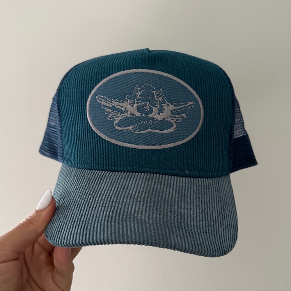 BOYS LIE HAT